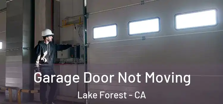  Garage Door Not Moving Lake Forest - CA