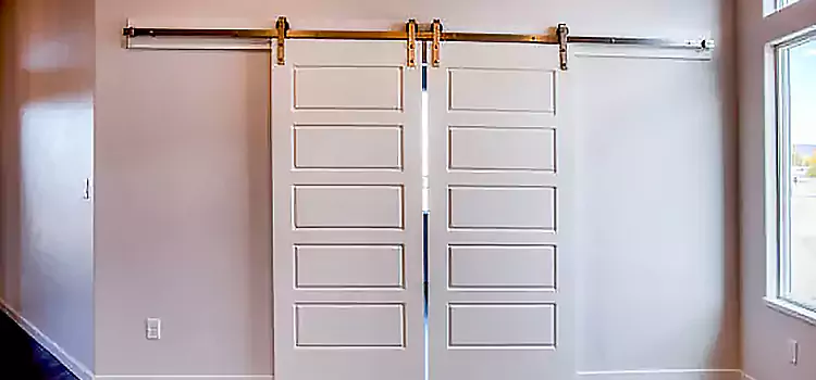Glass Barn Door with Installation Hardware Kit Lake Forest