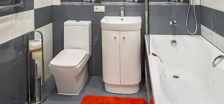 Hansgrohe Shaving Mirror Lake Forest